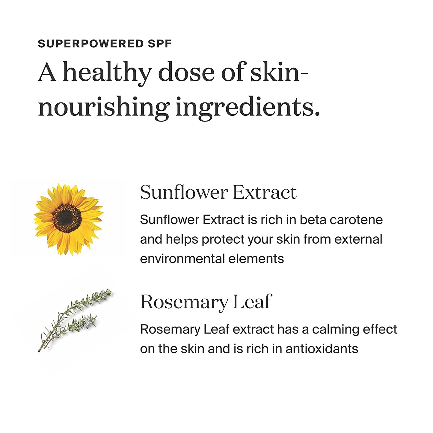 PLAY Everyday Lotion SPF 30 with Sunflower Extract 5.5 FL Oz. - Supergoop